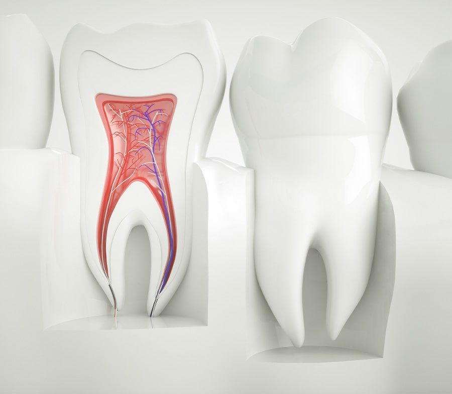 Morrison Dental Care